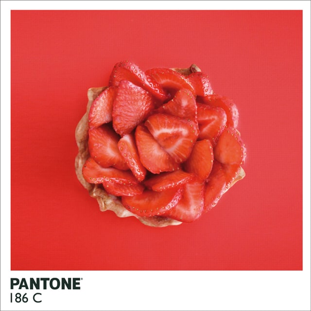 pantone-food8