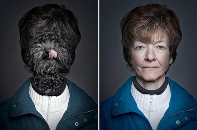 dogs-dressing-up-like-their-owners2-640x428
