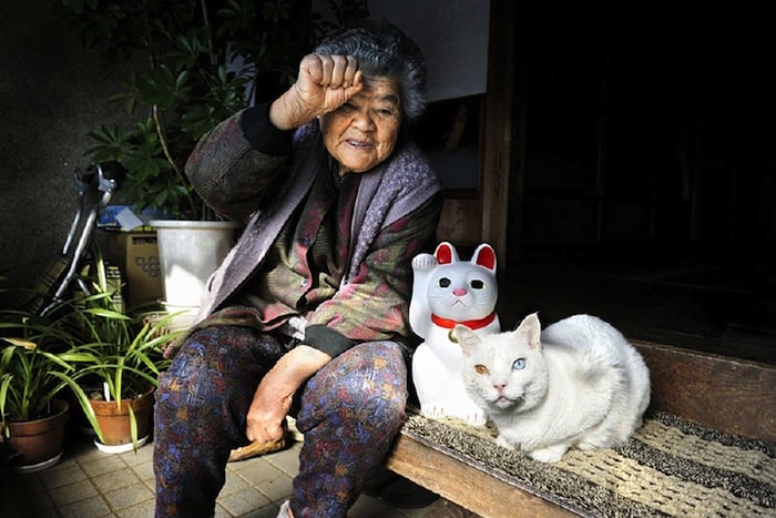 grandmother-and-cat-miyoko-ihara-fukumaru-13