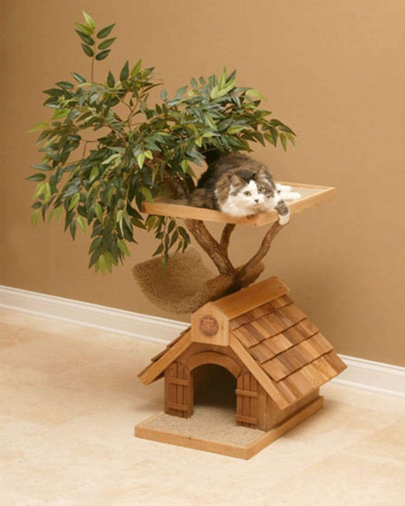 cool-cat-tree-houses-image
