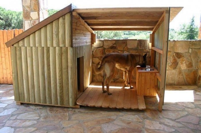 big dog house