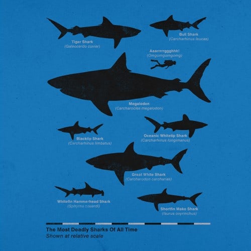 aled-lewis-the-worlds-most-deadly-sharks