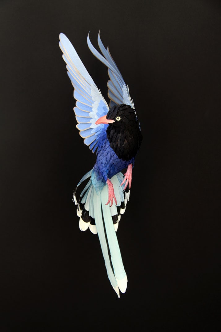 10-bird-paper-sculptures-by-diana-beltran-herrera-yatzer