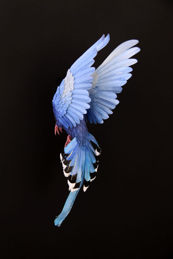 12-bird-paper-sculptures-by-diana-beltran-herrera-yatzer
