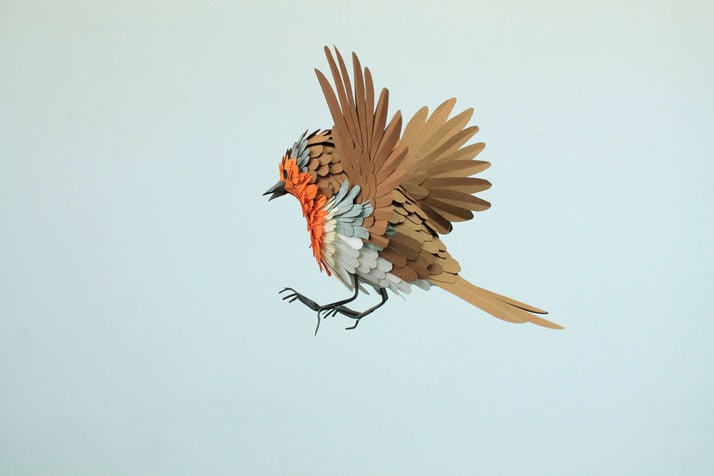 7-bird-paper-sculptures-by-diana-beltran-herrera-yatzer