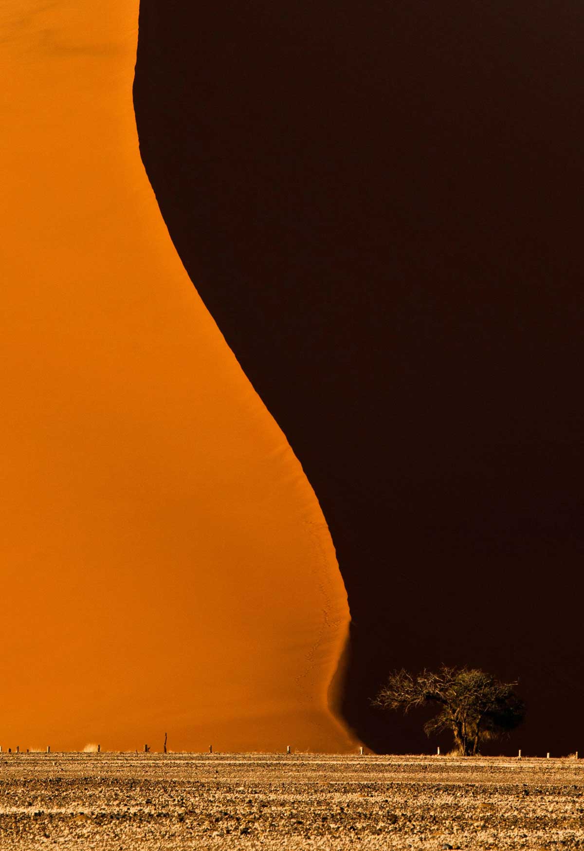gigantic sand dune in namibia