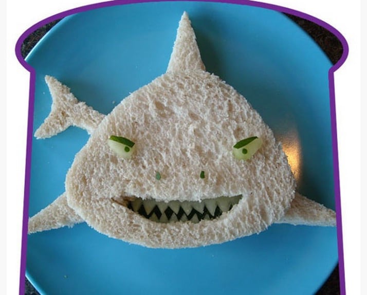 shark-food