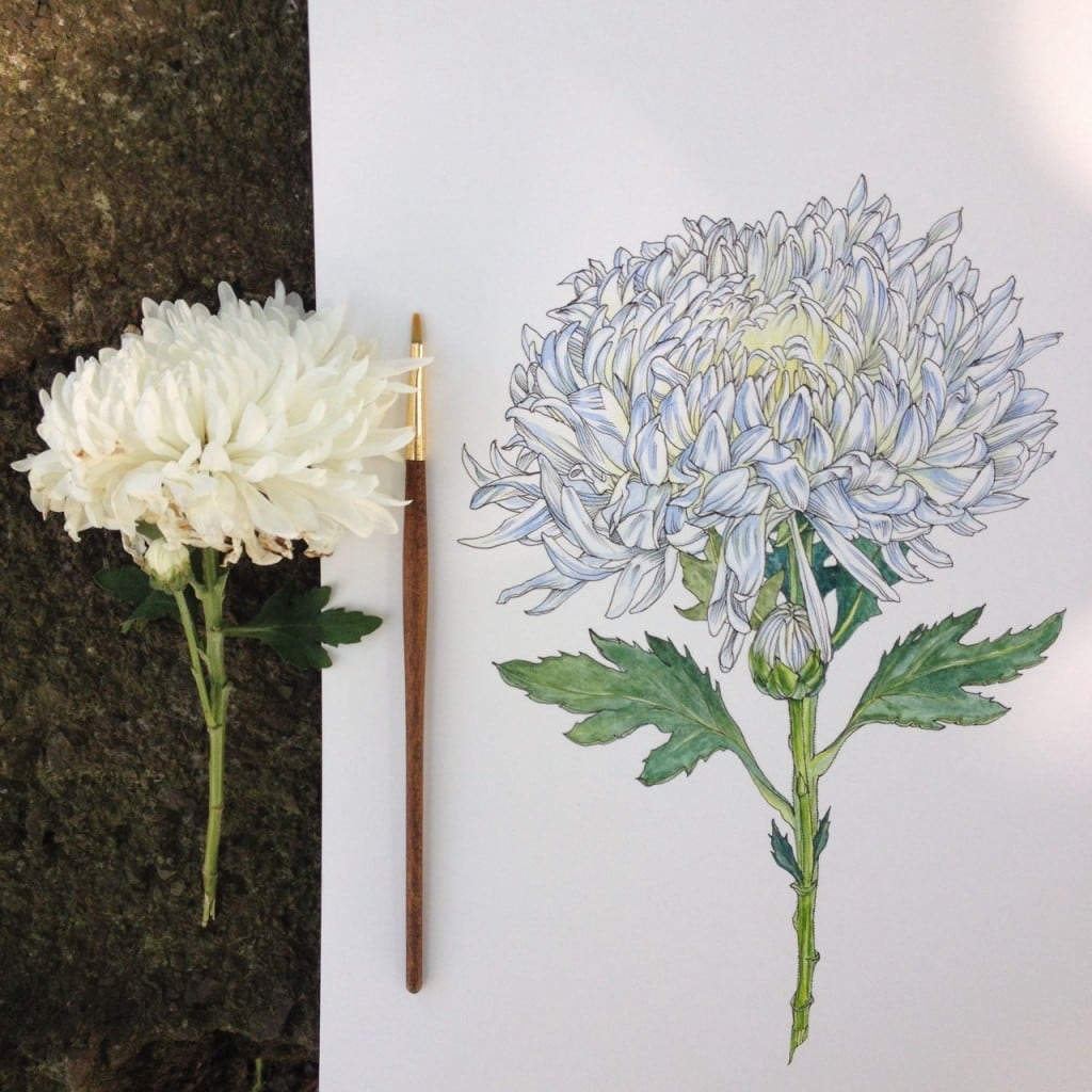 flowers-in-progress-a-beautiful-series-of-illustrations-by-noel-badges-pugh-13-1024x1024