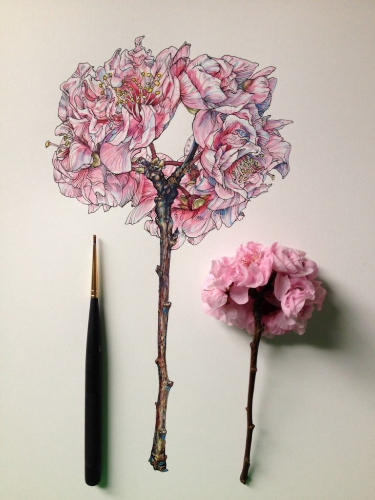 flowers-in-progress-a-beautiful-series-of-illustrations-by-noel-badges-pugh-21-768x1024