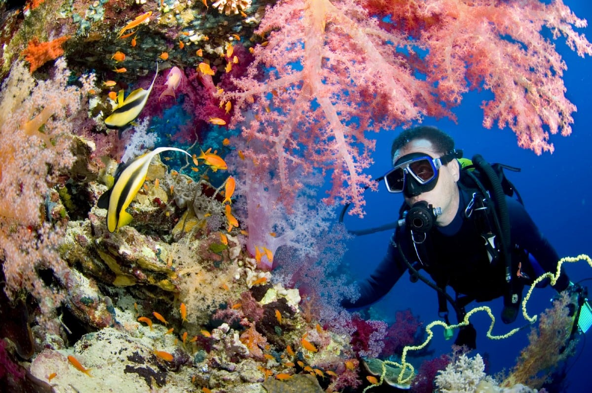 scuba diving andaman islands
