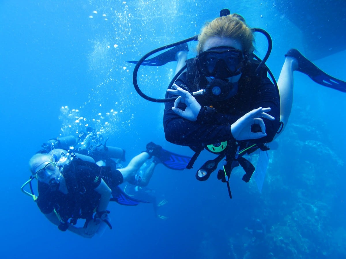 scuba diving koh tao island