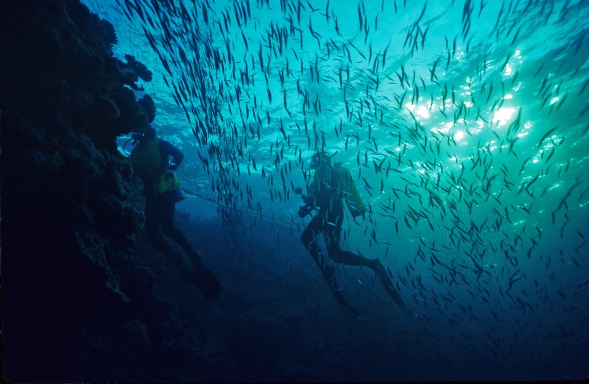 scubai diving micronesia