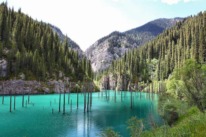 sunken-forest-kazakhstan1