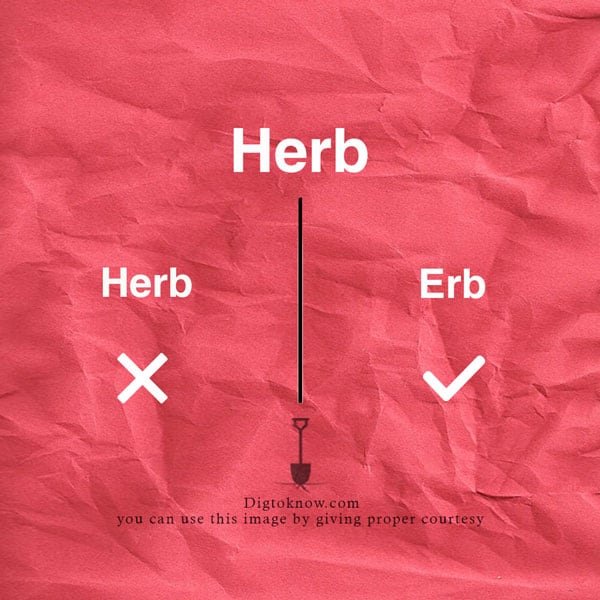 herb-pronunciation
