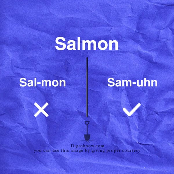 salmon-pronunciation