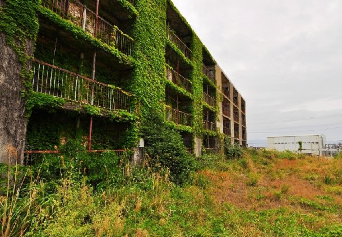 abandonedkansai-com-an-overgrown-apartment-buildin