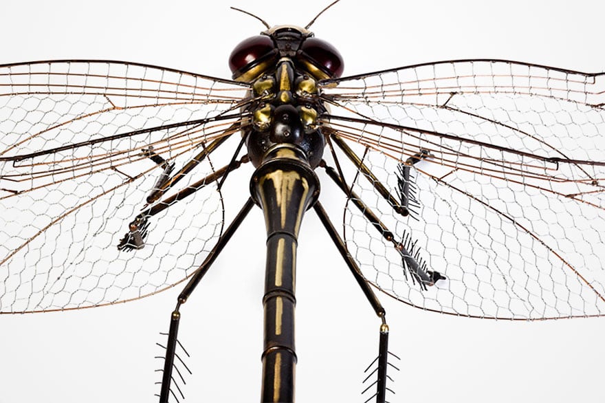 insect-sculptures-edouard-martinet-11