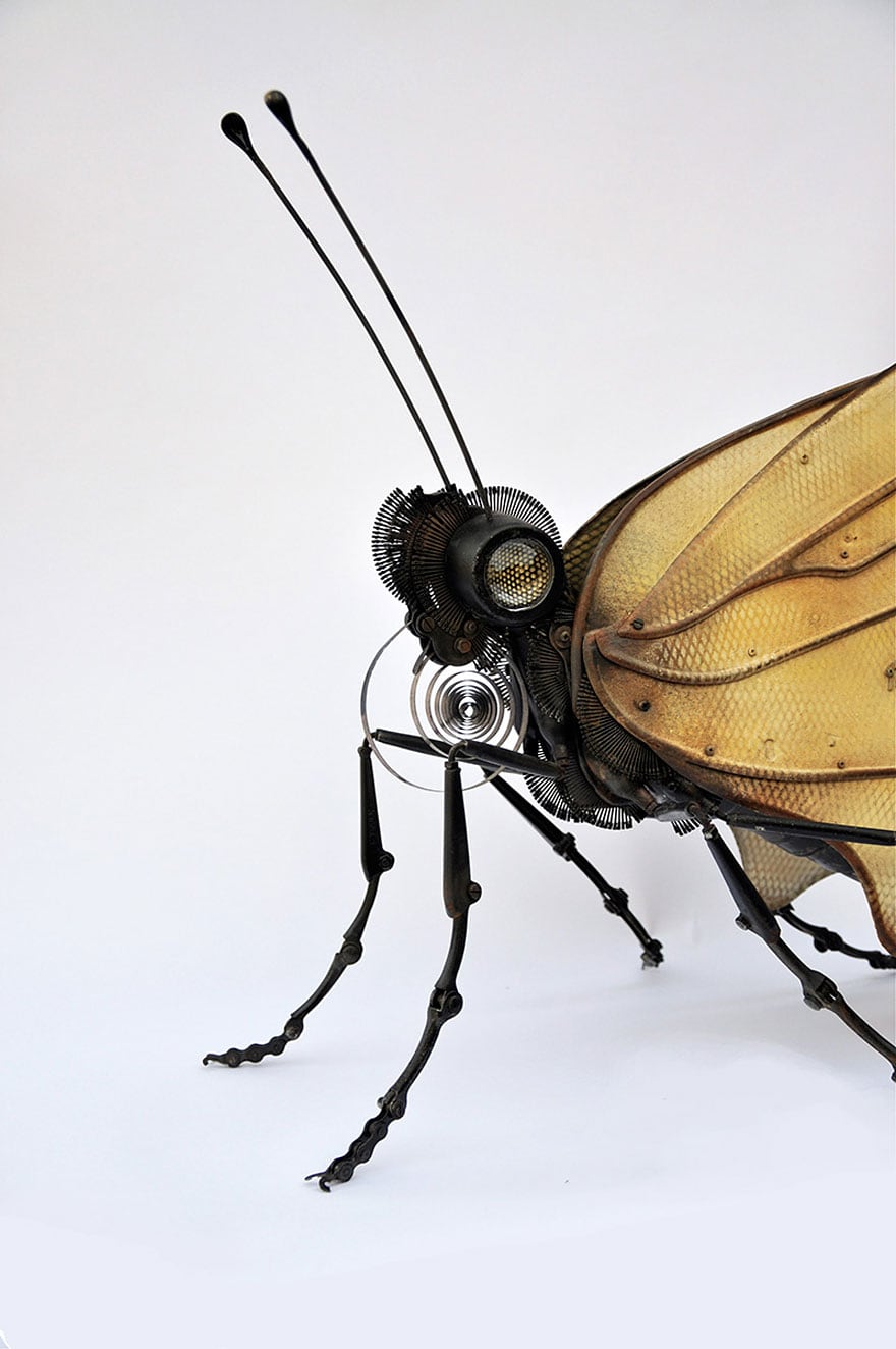 insect-sculptures-edouard-martinet-2