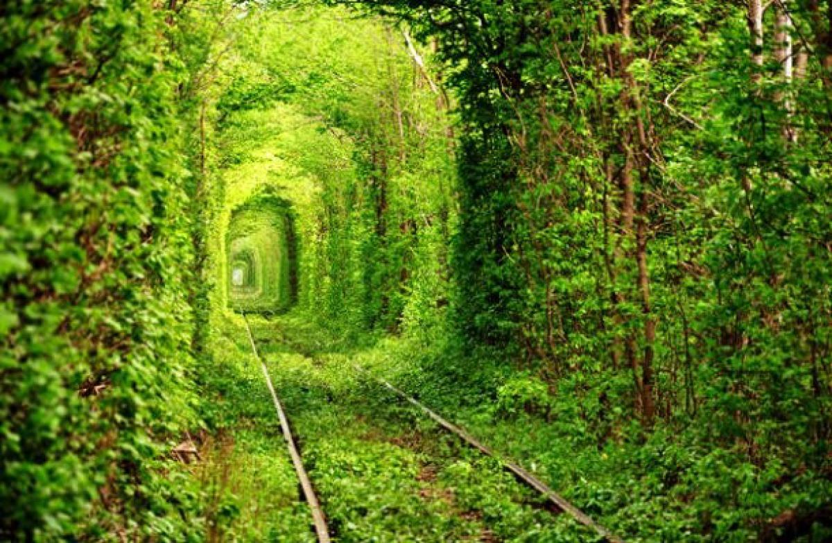 www-placestoseeinyourlifetime-com-tunnel-of-love-i