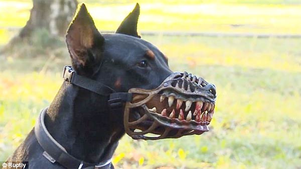terrifying dog muzzle