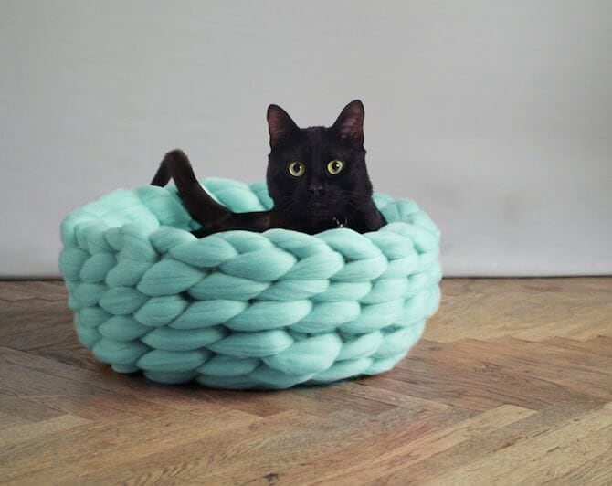 chunky-knits-pets-ohhio-anna-mo-freeyork-3