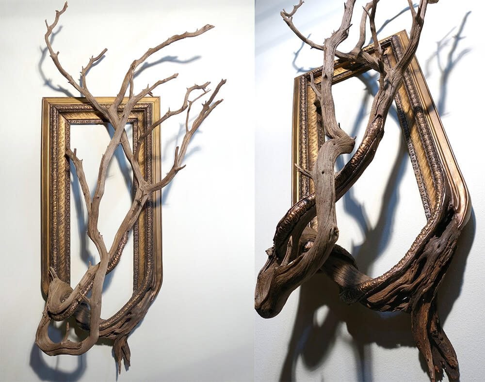 tree-branch-frames-darryl-cox-freeyork-3