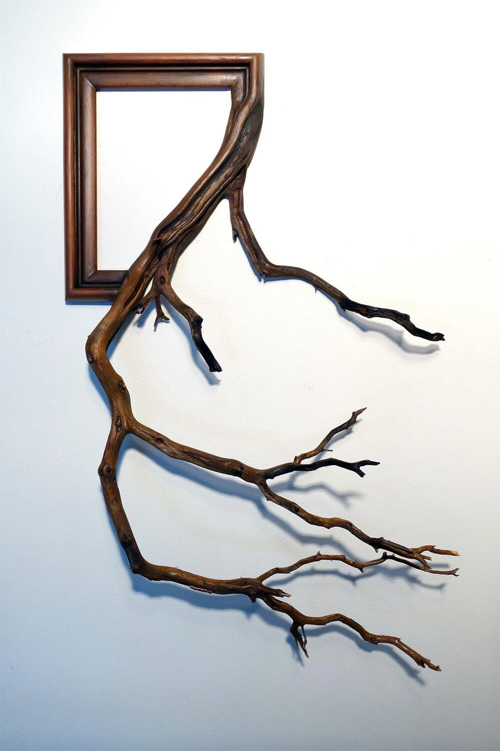 tree-branch-frames-darryl-cox-freeyork-5