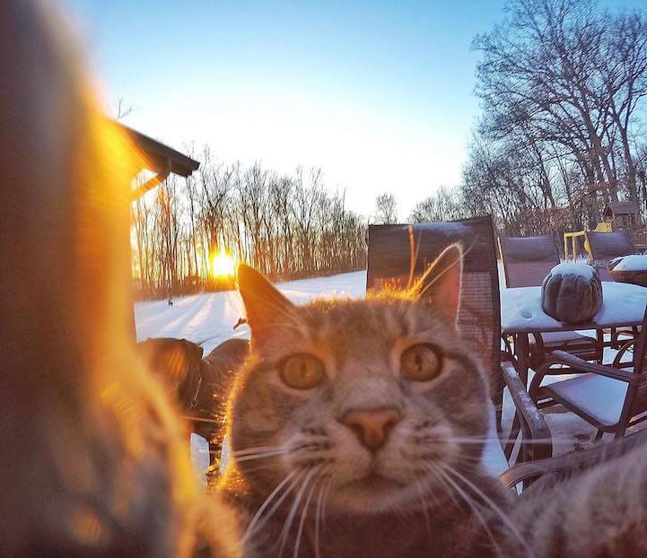 manny-selfie-cat-fy-1