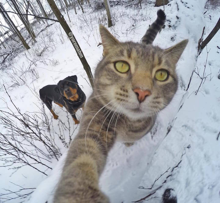 manny-selfie-cat-fy-11