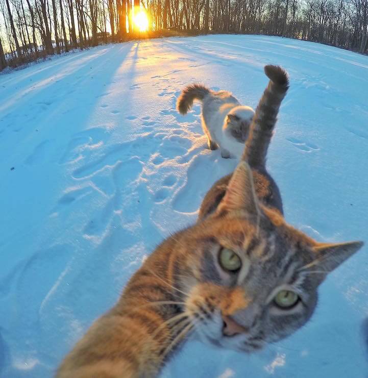 manny-selfie-cat-fy-5
