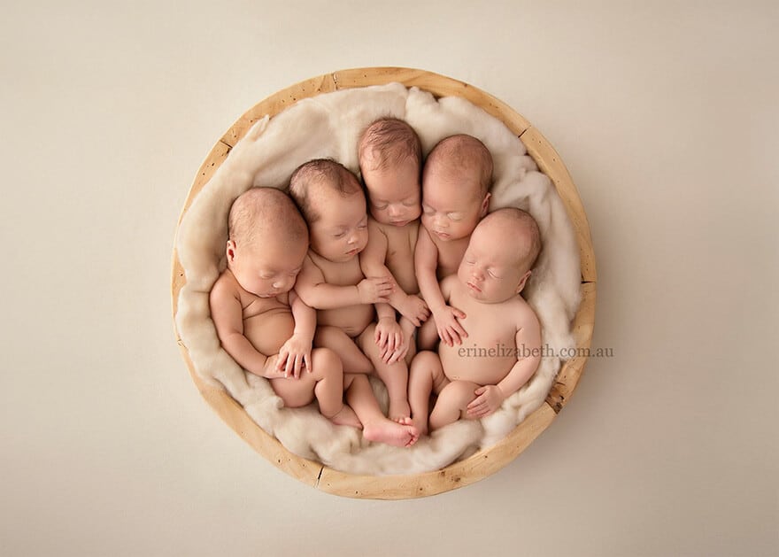 newborn-babies-photoshoot-quintuplets-kim-tucci-erin-elizabeth-hoskins-880-10