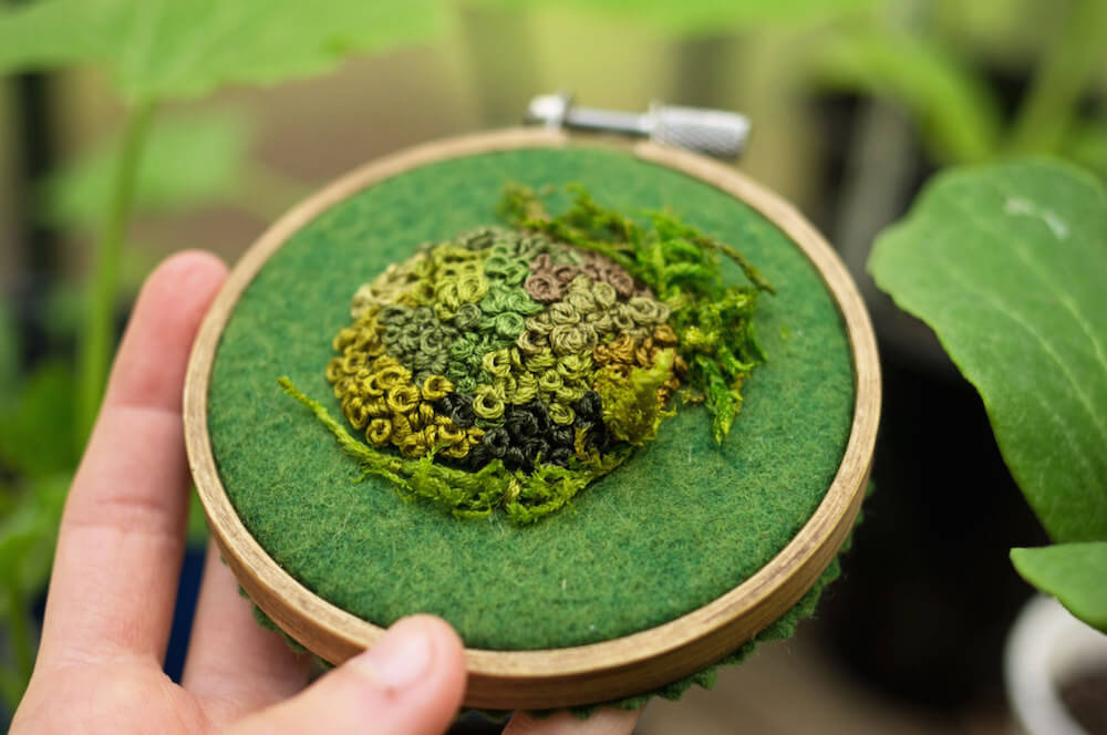 intricate-moss-assemblages-4