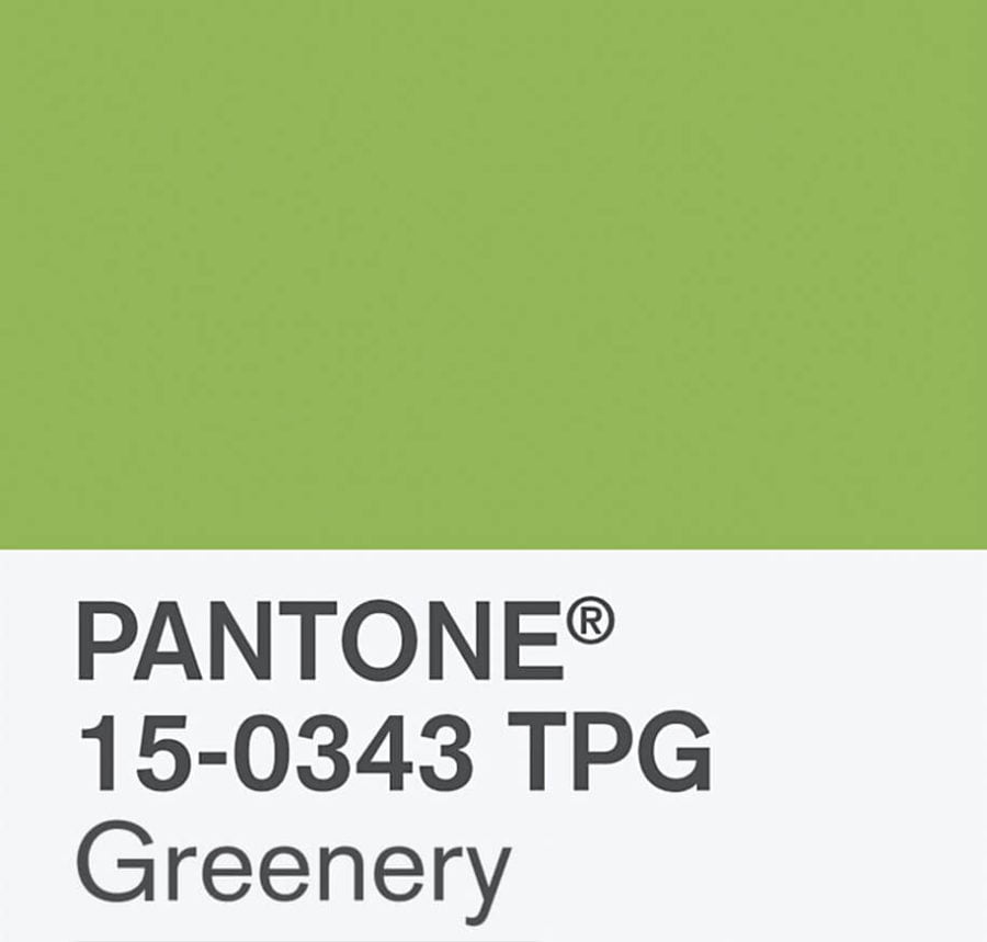 pantone-color-of-the-year-2017-4