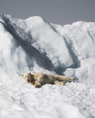 Joe Shutter Shares Photos From His Silent Arctic Photographic ...