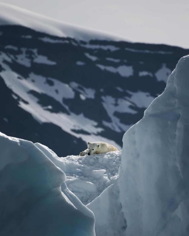 Joe Shutter Shares Photos From His Silent Arctic Photographic ...