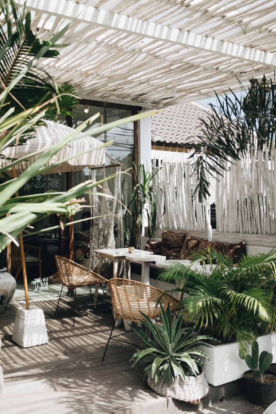 The Tropical Plant Care Guide | FREEYORK