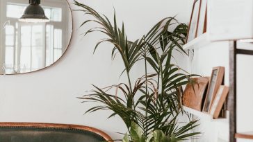gray fan beside indoor green plants