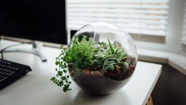 tilt shift lens photo of glass bowl