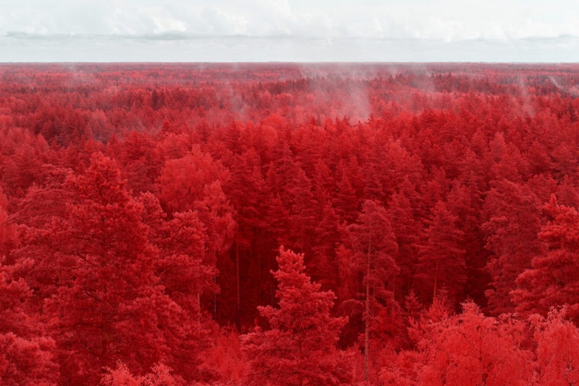 Pierre Louis Ferrers Unique Look At Latvia Infrared And Ultraviolet Photography Freeyork