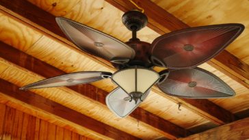 brown and white 5 blade ceiling fan with light fixture