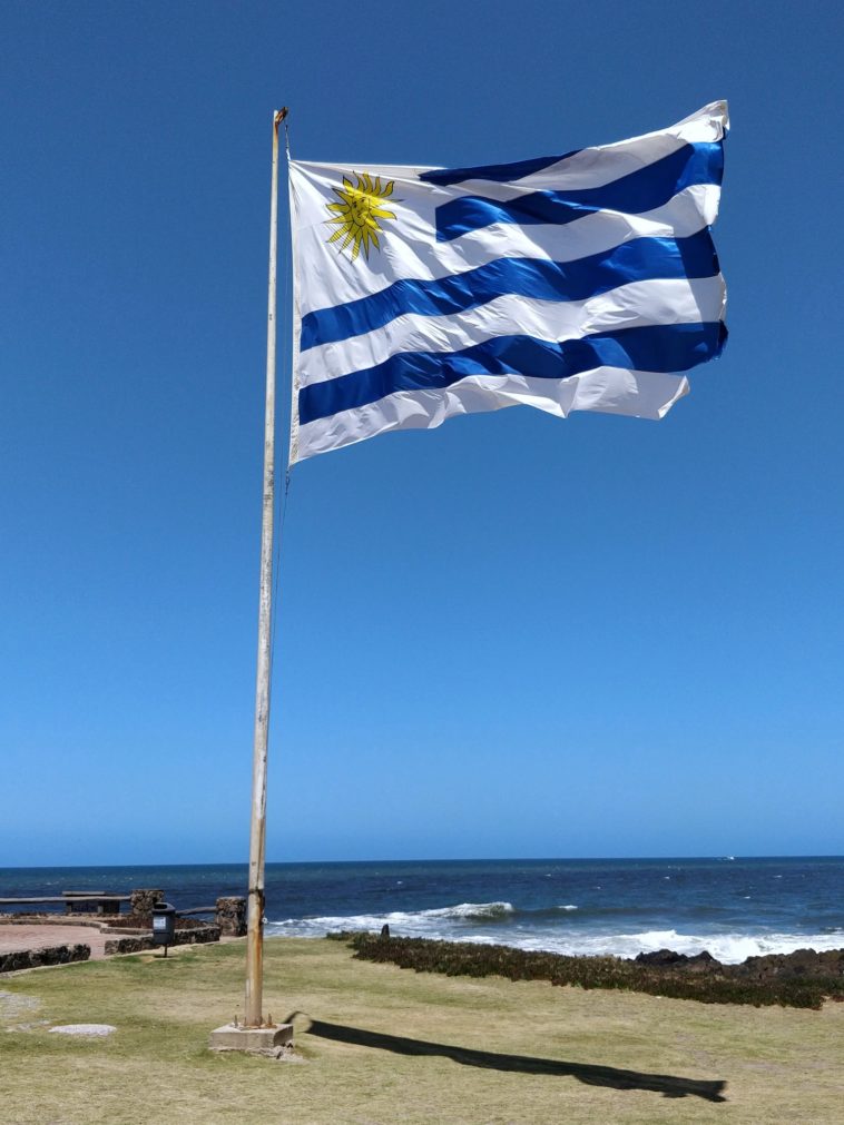 a flag flying on a beach