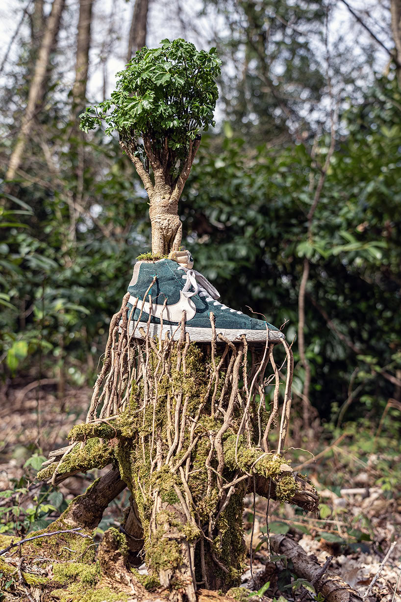 From Streetwear to Garden: The Bonzai Sneaker Collection