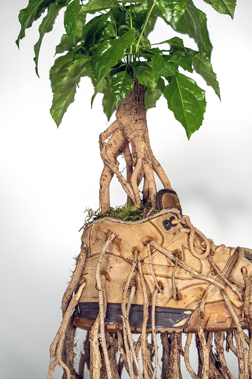 From Streetwear to Garden: The Bonzai Sneaker Collection