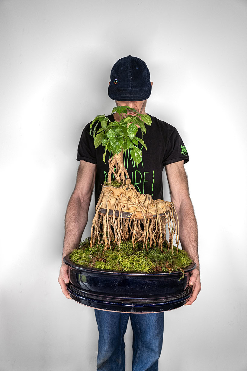From Streetwear to Garden: The Bonzai Sneaker Collection