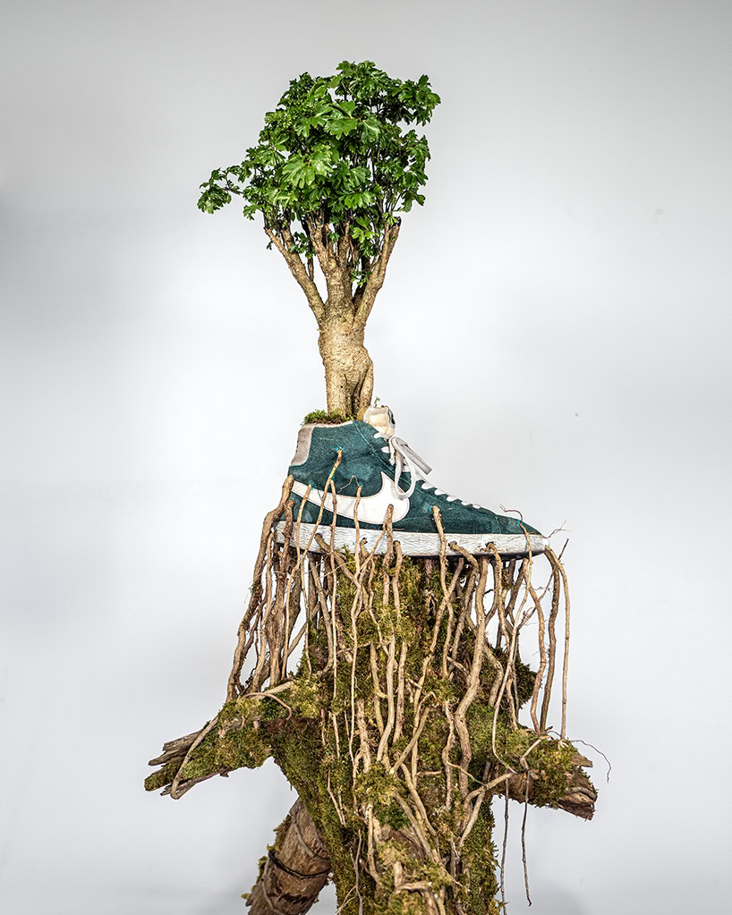 From Streetwear to Garden: The Bonzai Sneaker Collection