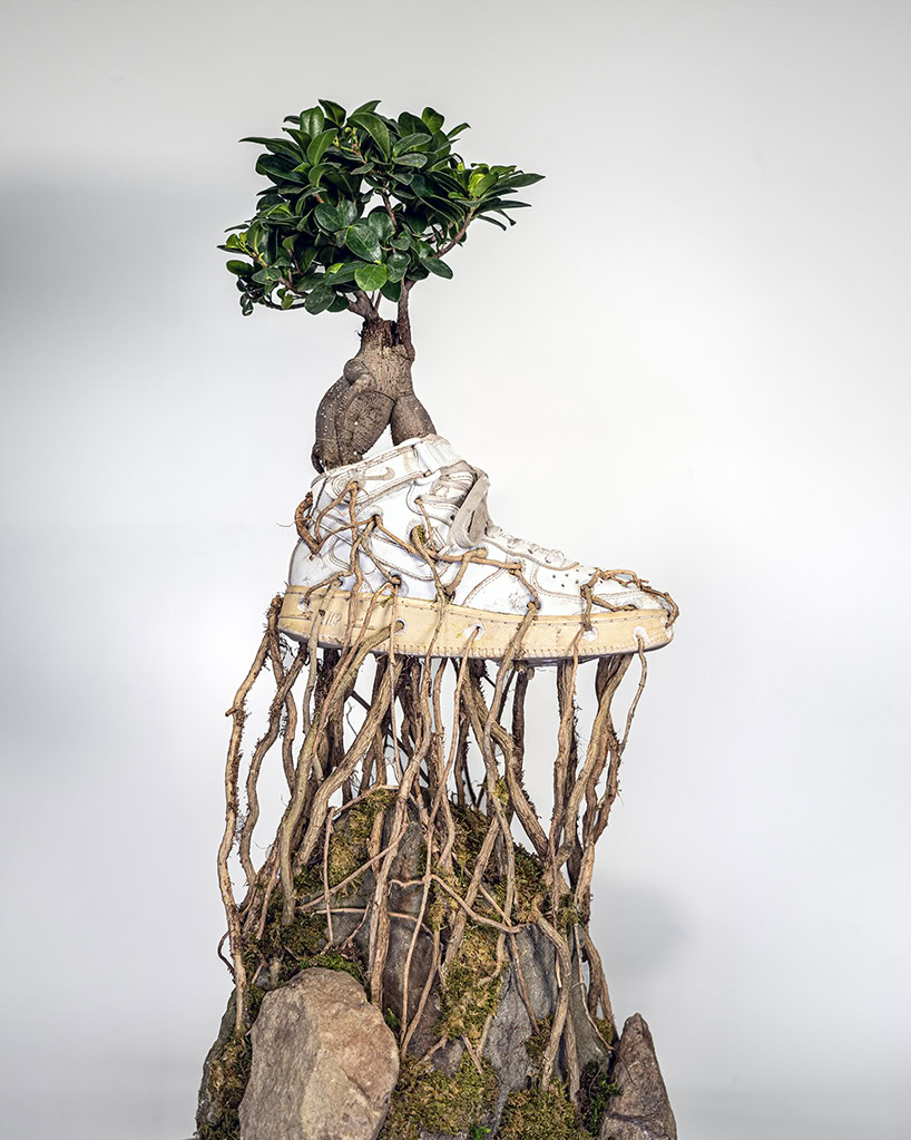 From Streetwear to Garden: The Bonzai Sneaker Collection