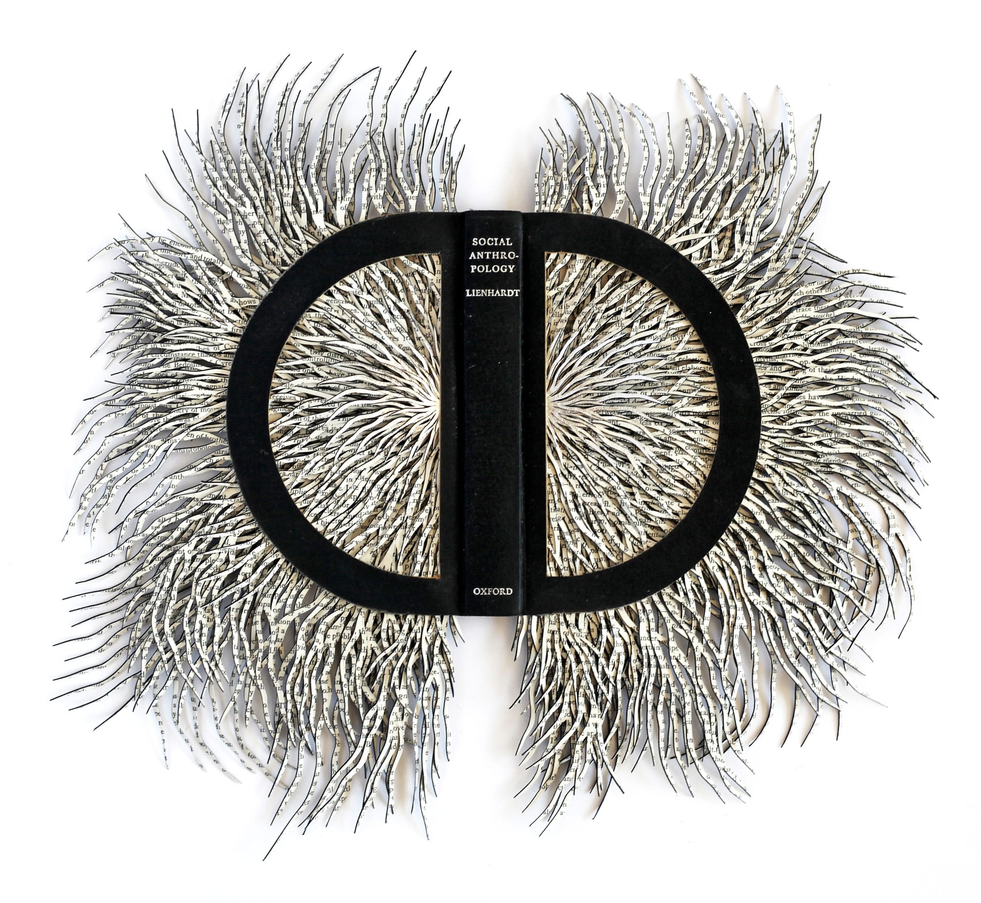 Turning Pages into Poetry: Reconstructing Knowledge in Barbara Wildenboer's Sculptures
