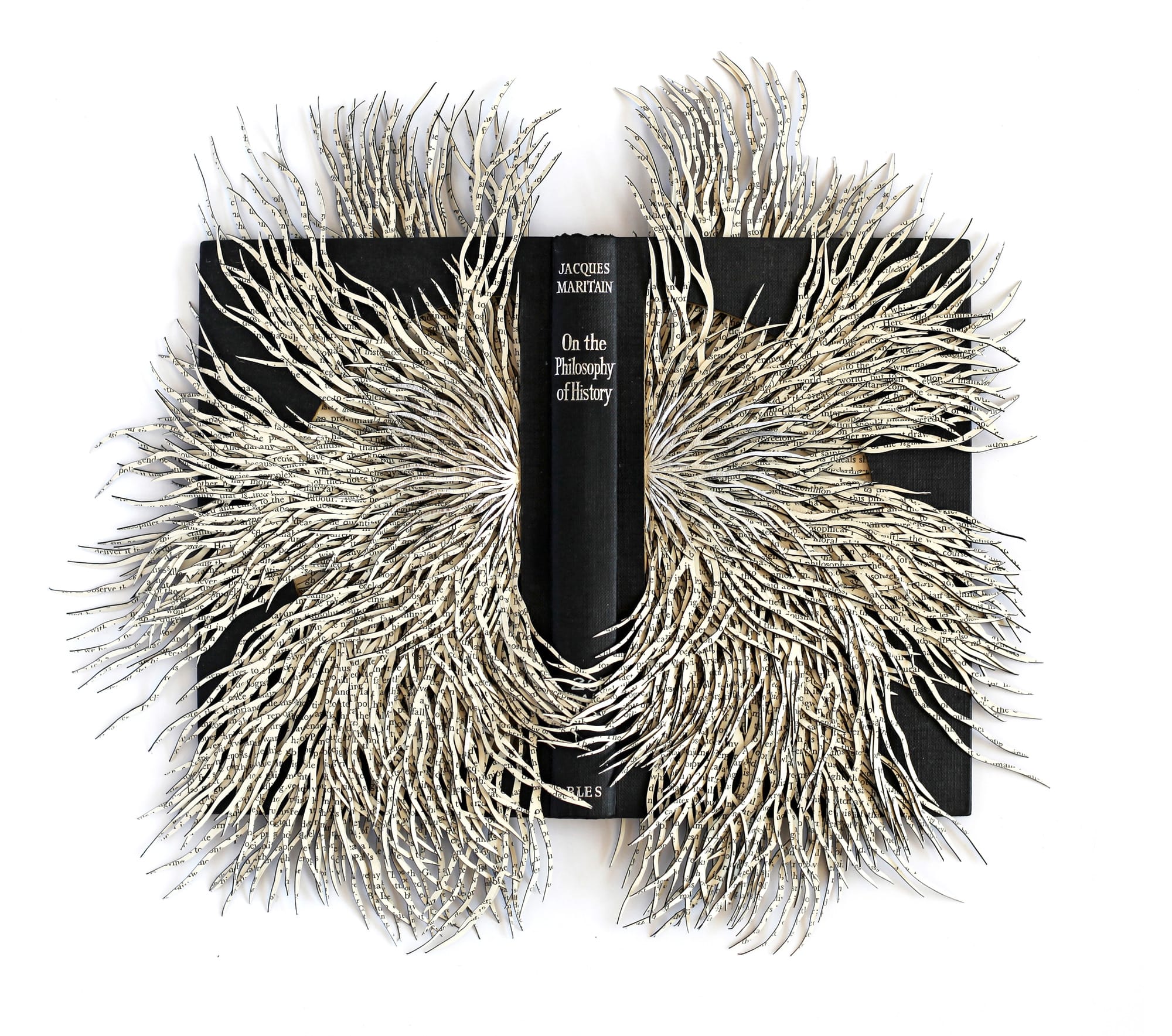 Turning Pages into Poetry: Reconstructing Knowledge in Barbara Wildenboer's Sculptures
