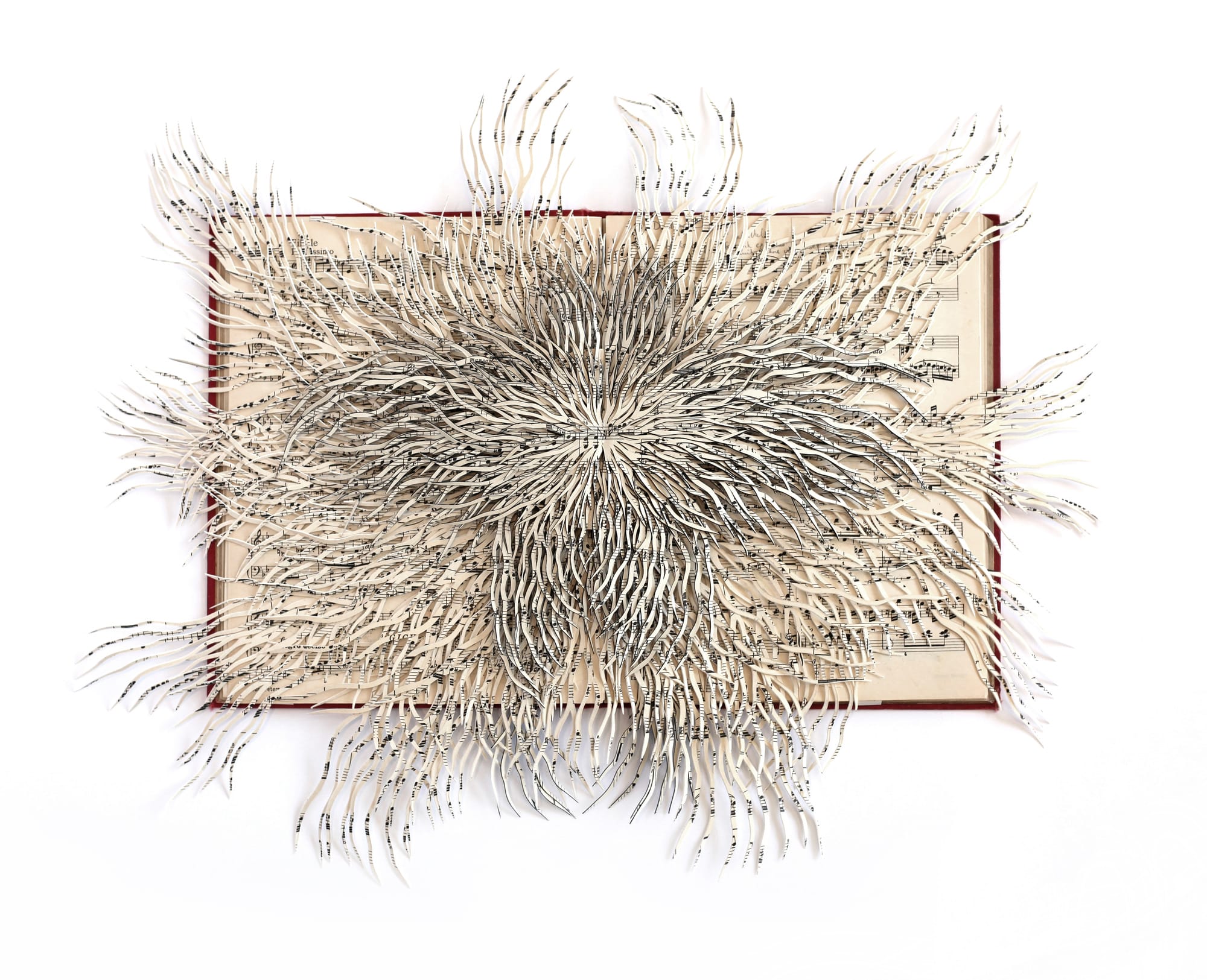 Turning Pages into Poetry: Reconstructing Knowledge in Barbara Wildenboer's Sculptures