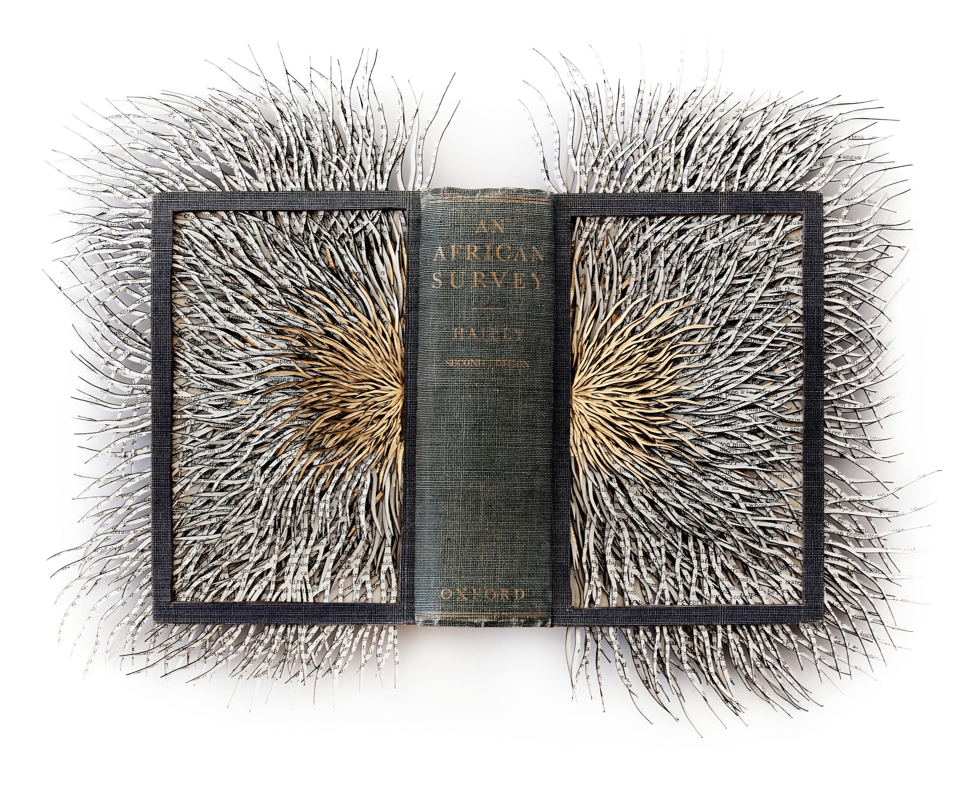 Turning Pages into Poetry: Reconstructing Knowledge in Barbara Wildenboer's Sculptures